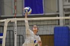 Wheaton Women's Volleyball  Wheaton Women's Volleyball vs Bridgewater State University. : Wheaton, Volleyball, BSU, Bridgewater State College